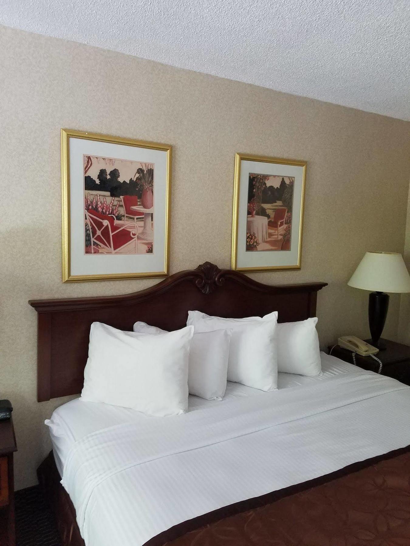 Clarion Inn&Suites Florence Exterior foto